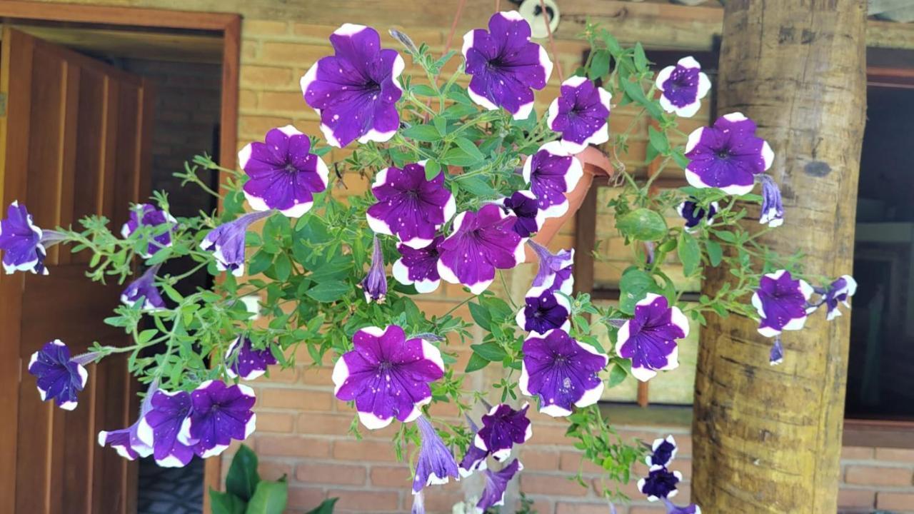 Chale Vale Das Flores - Visconde De Maua Rj エクステリア 写真